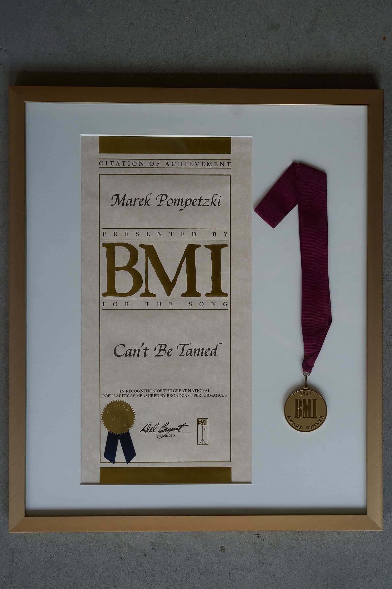 Award plaque — Kung Fu Studios